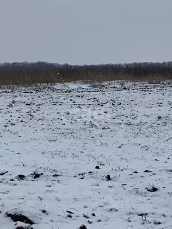 Участок в Белгородская область, Белгородский район, Головинское с/пос, ... - Фото 0