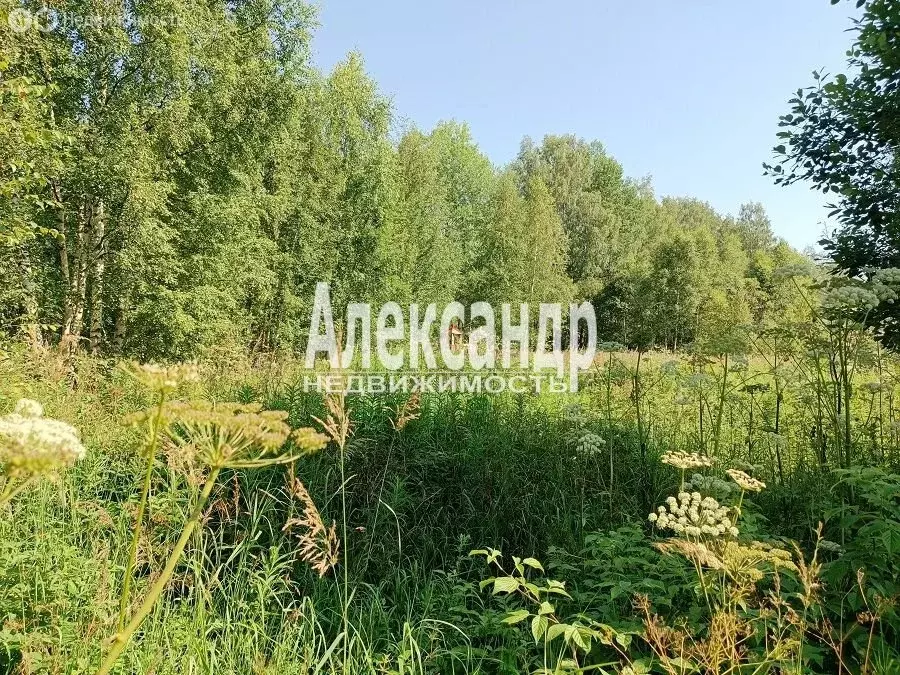 Участок в Выборг, микрорайон Сайменский (10 м) - Фото 1