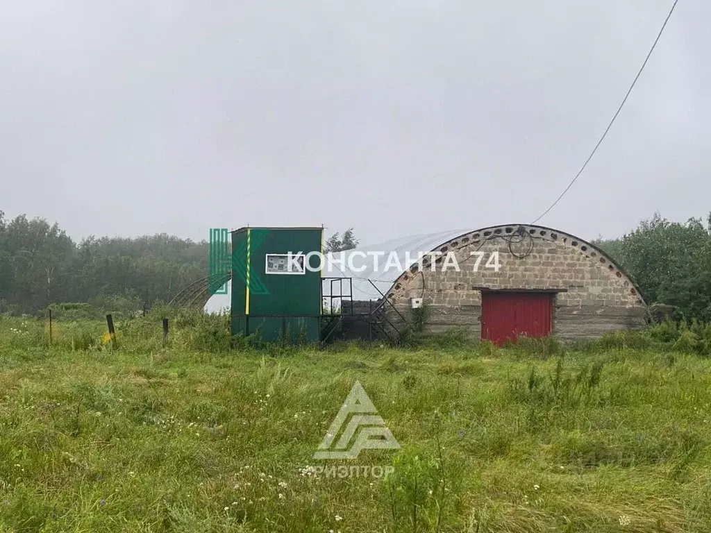 Производственное помещение в Челябинская область, Аргаяшский район, ... - Фото 0