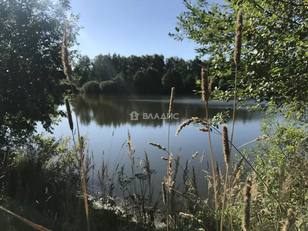 Участок в Владимирская область, Камешковский муниципальный округ, д. ... - Фото 1