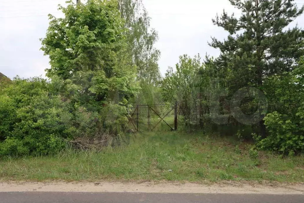 Участок 12 сот. (СНТ, ДНП) - Фото 1