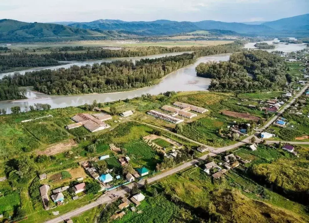 Участок в Алтайский край, Алтайский район, Айский сельсовет, с. Ая ул. ... - Фото 2