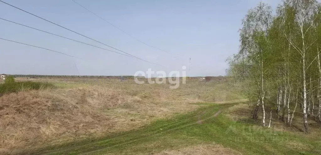 Участок в Тамбовская область, Тамбовский муниципальный округ, д. ... - Фото 0