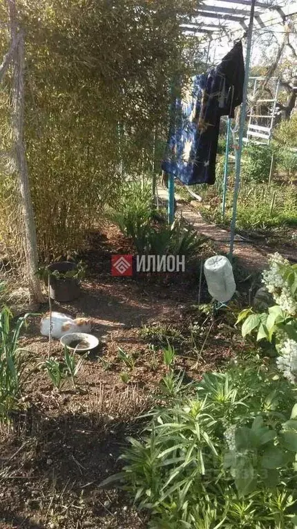 Дом в Севастополь Сосновая роща садоводческое товарищество,  (35 м) - Фото 1