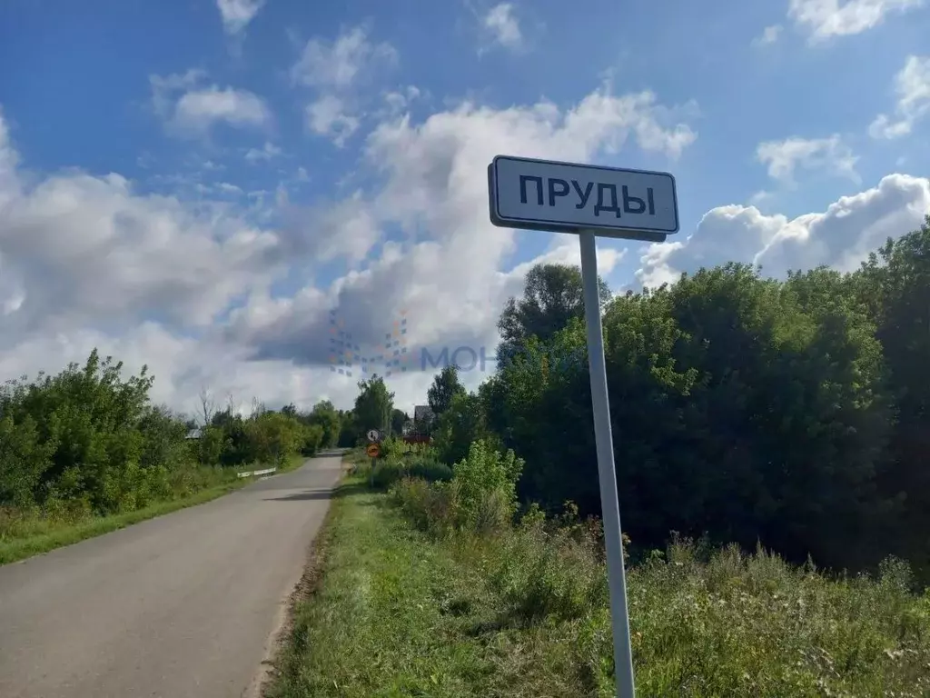 Участок в Нижегородская область, Богородский муниципальный округ, д. ... - Фото 2