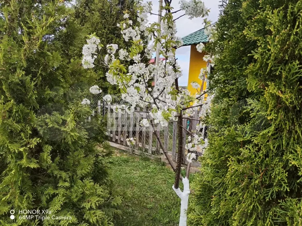 Дом 59 м на участке 6 сот. - Фото 0