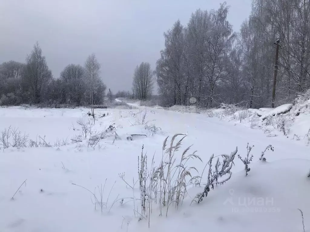 Участок в Костромская область, Красное-на-Волге городское поселение, ... - Фото 0