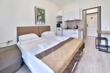 1-к кв. Краснодарский край, Сочи Светлана мкр, ул. Депутатская, 10Д ... - Фото 1