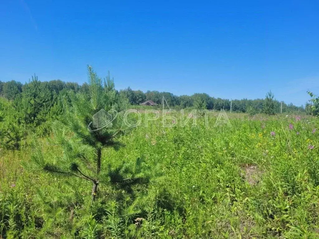 Участок в Тюменская область, Тюменский район, с. Кулига, Кулига-2 мкр  ... - Фото 1