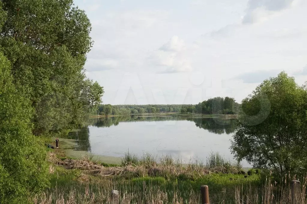 Участок 11,8 сот. (ИЖС) - Фото 1