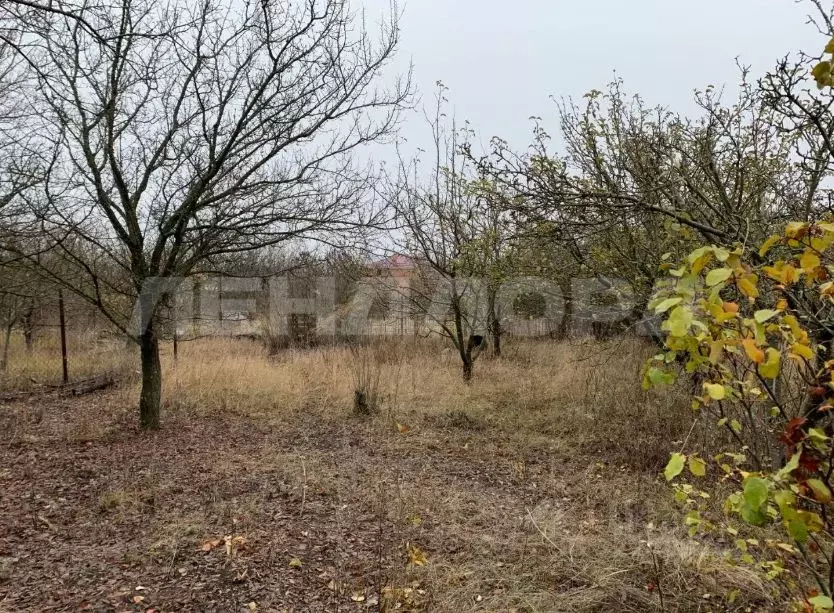 Участок в Ростовская область, Октябрьский район, Кривянское с/пос, № ... - Фото 2