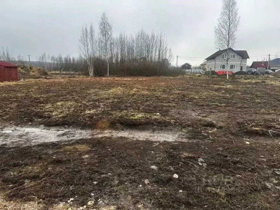 Участок в Новгородская область, Малая Вишера ул. Березовая Аллея, 12 ... - Фото 2