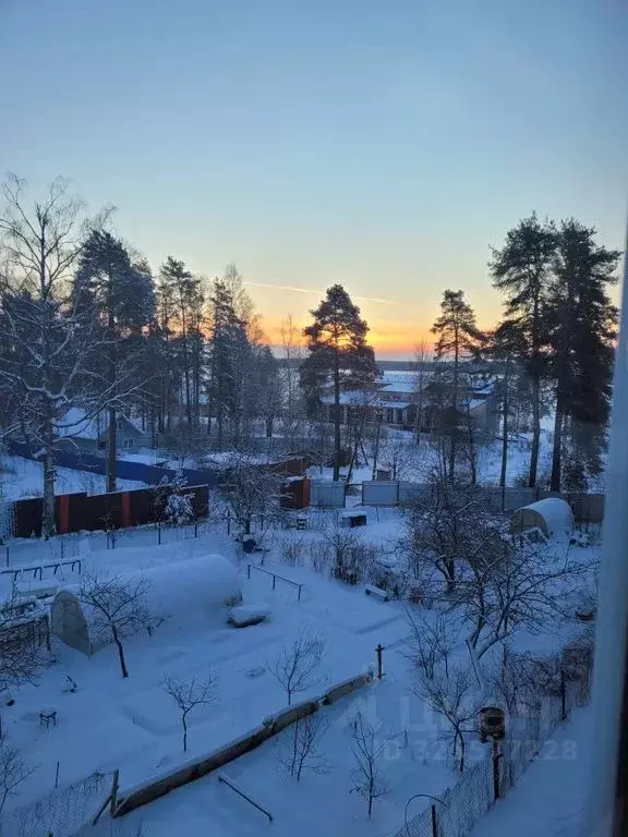 2-к кв. Ленинградская область, Приозерский район, пос. Мичуринское ... - Фото 1