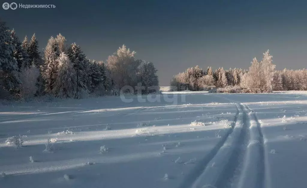 Участок в Владимирская область, Ковровский муниципальный округ, ... - Фото 1