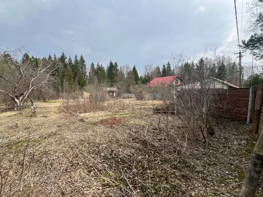 Участок в Московская область, Солнечногорск городской округ, пос. ... - Фото 0