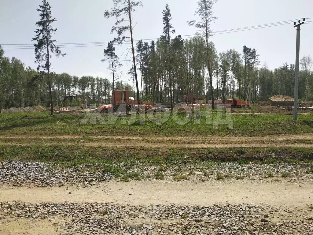 Участок в Новосибирская область, Новосибирский район, Барышевский ... - Фото 2
