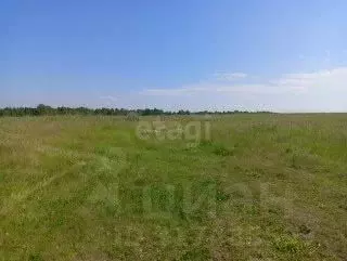 Участок в Свердловская область, Нижний Тагил Дружба КС, ул. Луговая ... - Фото 0