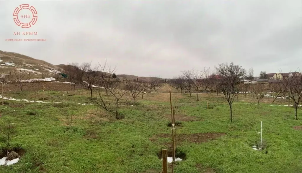 Участок в Крым, Ленинский район, Белинское с/пос, с. Новоотрадное ул. ... - Фото 1