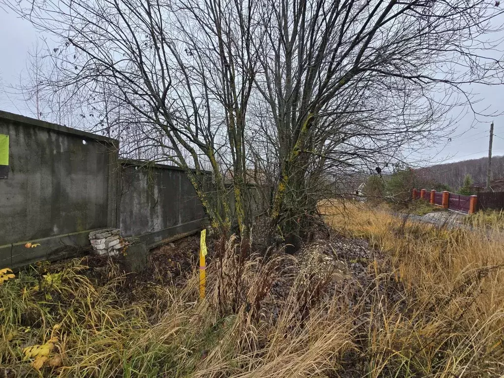 Участок в Нижегородская область, Нижний Новгород с. Кадницы,  (15.24 ... - Фото 2