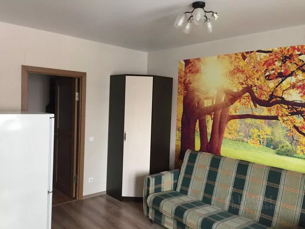 Студия Свердловская область, Екатеринбург ул. Соболева, 19 (29.6 м) - Фото 2