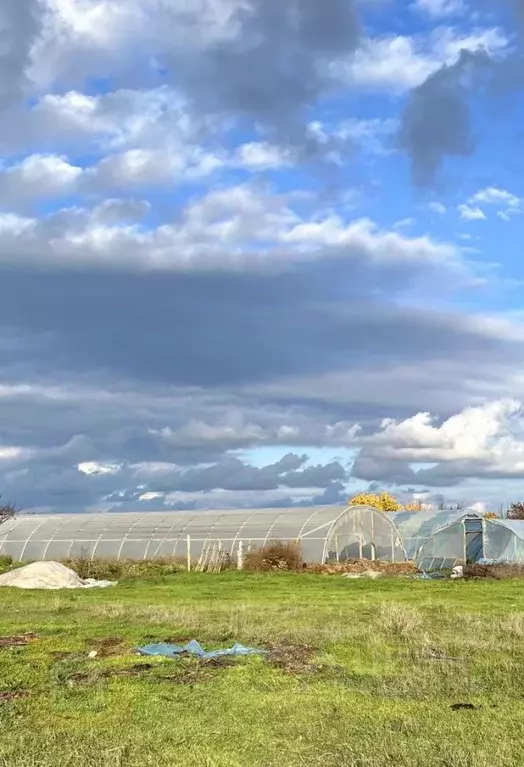 Участок в Крым, Симферопольский район, Николаевское с/пос, с. Тепловка ... - Фото 1