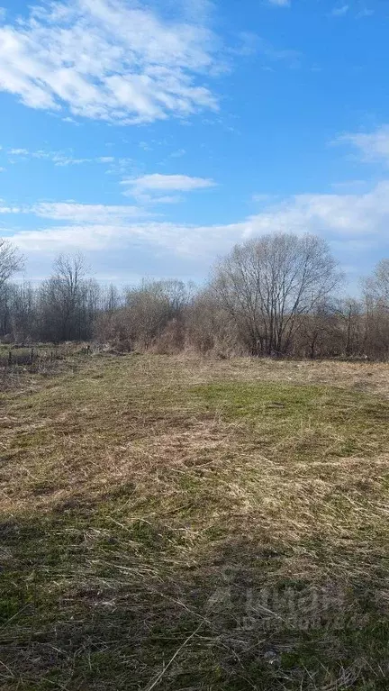 Участок в Новгородская область, Шимское городское поселение, д. Малая ... - Фото 0