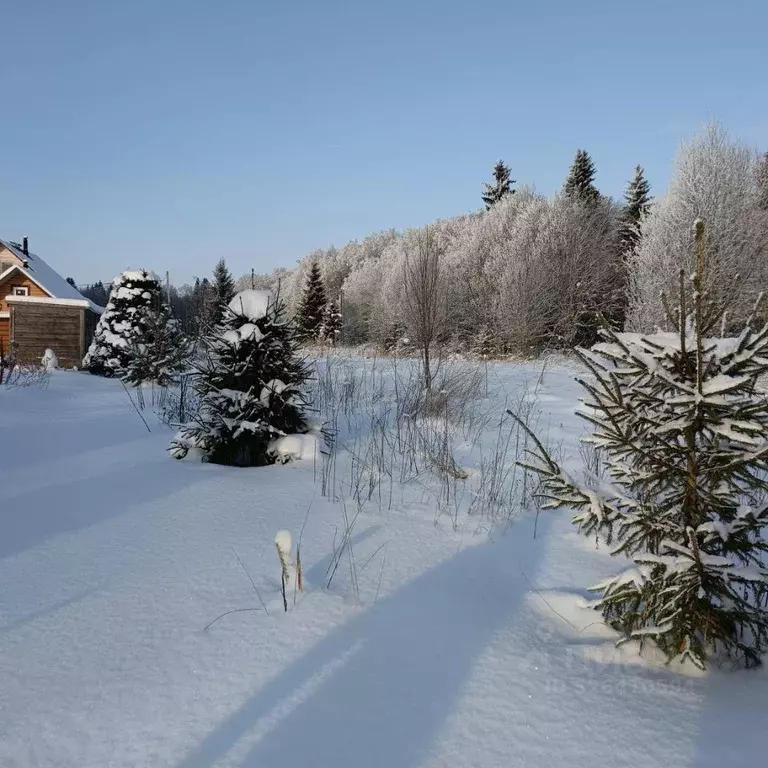 Участок в Ленинградская область, Волосовский район, Калитинское с/пос, ... - Фото 2
