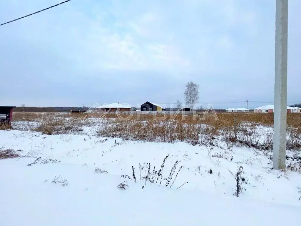 Участок в Тюменская область, Тюмень СОСН Березовое Озеро тер., ул. ... - Фото 0