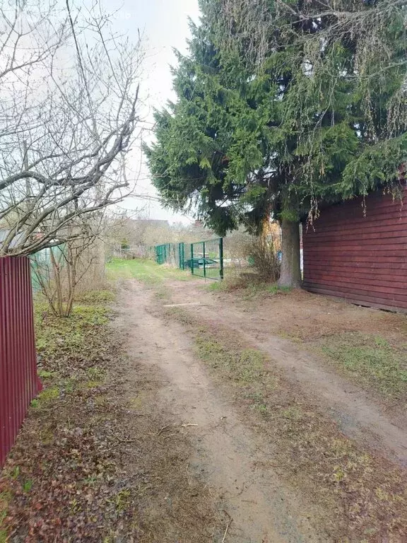 Дом в Сертоловское городское поселение, СНТ Родник, 3-я аллея (51 м) - Фото 1