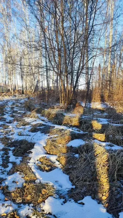 Участок 5,3 сот. (ИЖС) - Фото 0