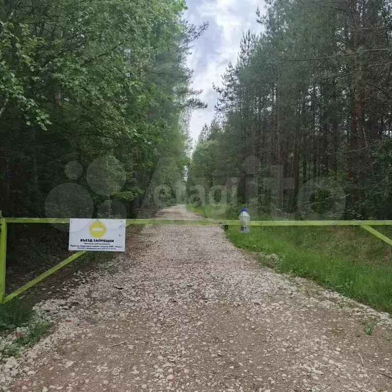 Участок 10 сот. (СНТ, ДНП) - Фото 0