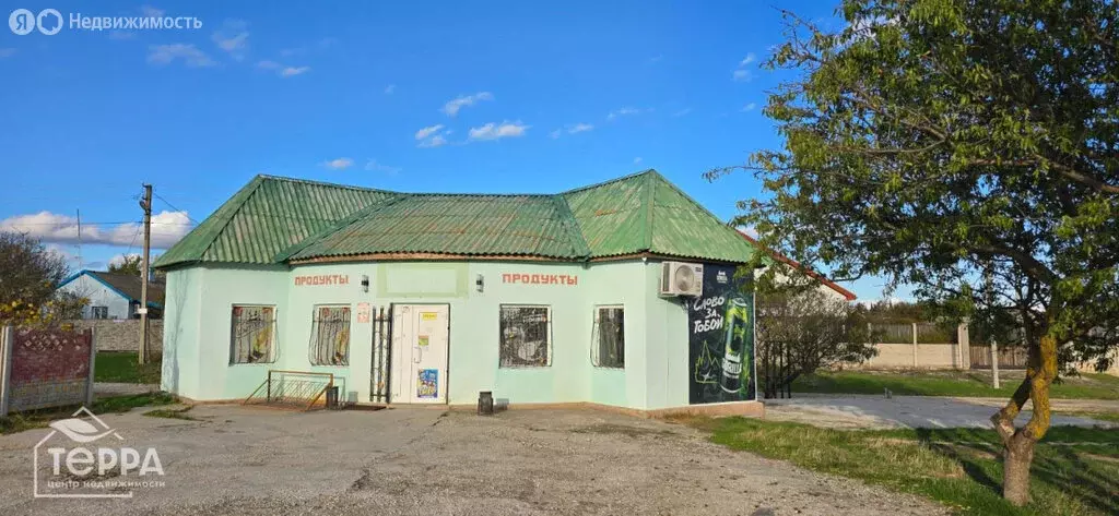 Торговая площадь (55.9 м) - Фото 2