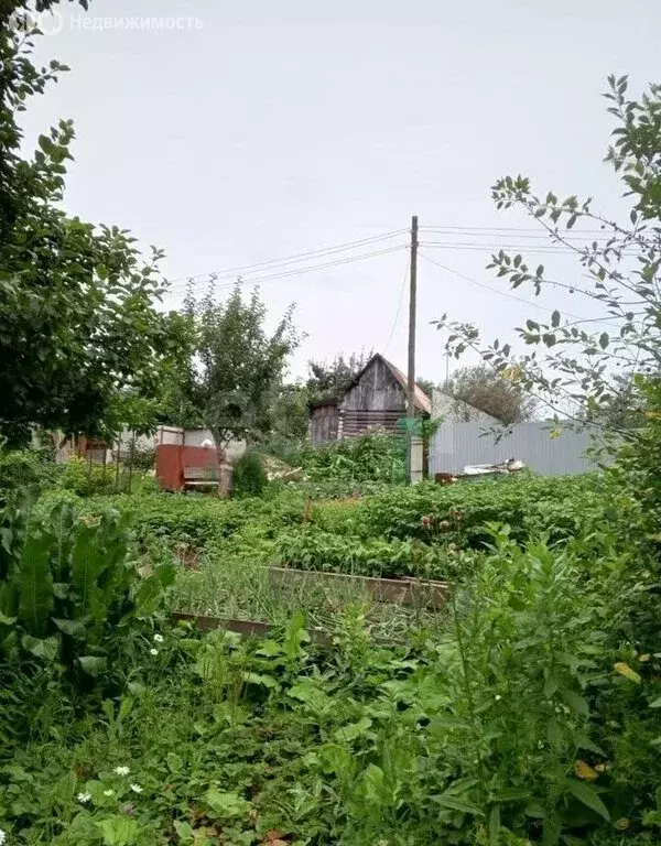 Участок в Миасс, СНТ Ильмены-2 (3 м) - Фото 2