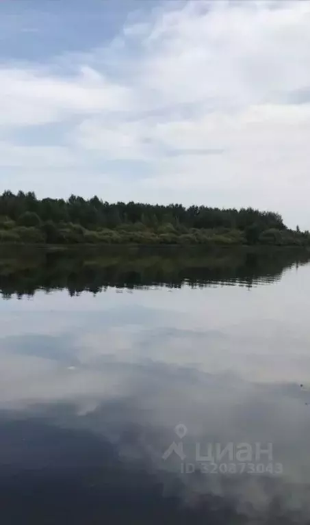 Участок в Псковская область, Палкинская волость  (13.0 сот.) - Фото 2