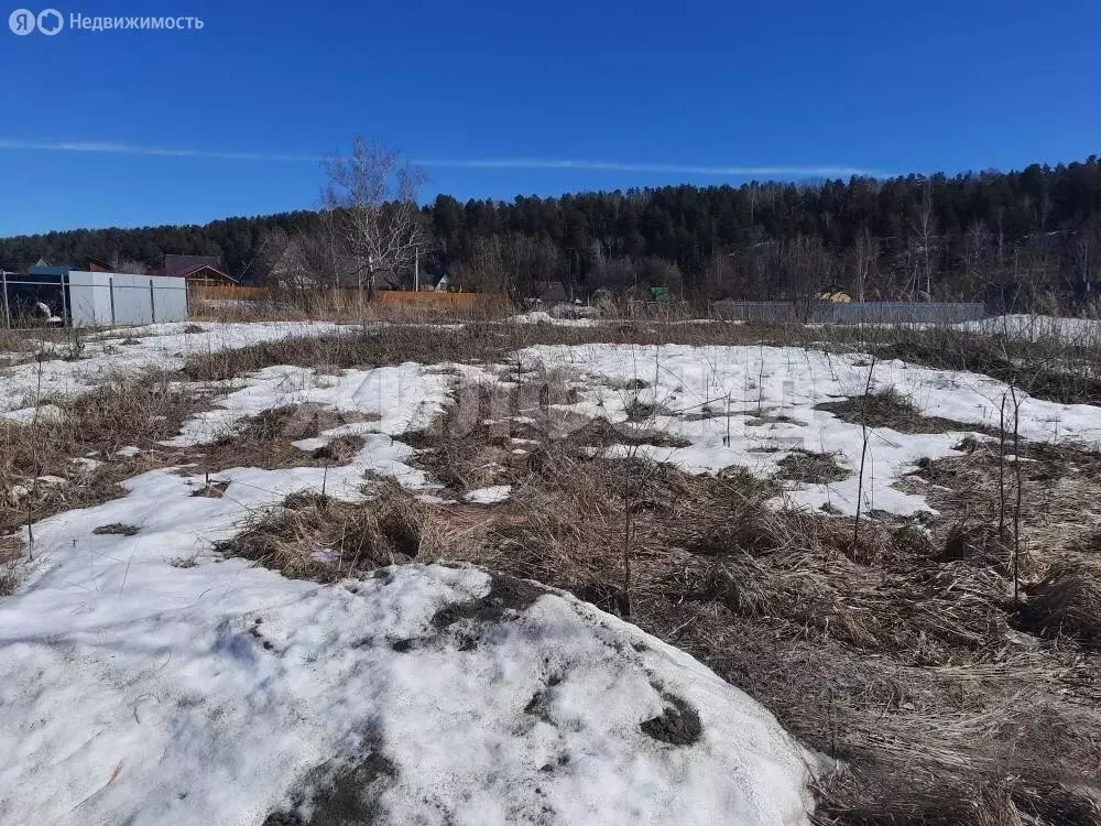 Участок в Кубовинский сельсовет, ТСН Созвездие (6 м) - Фото 1