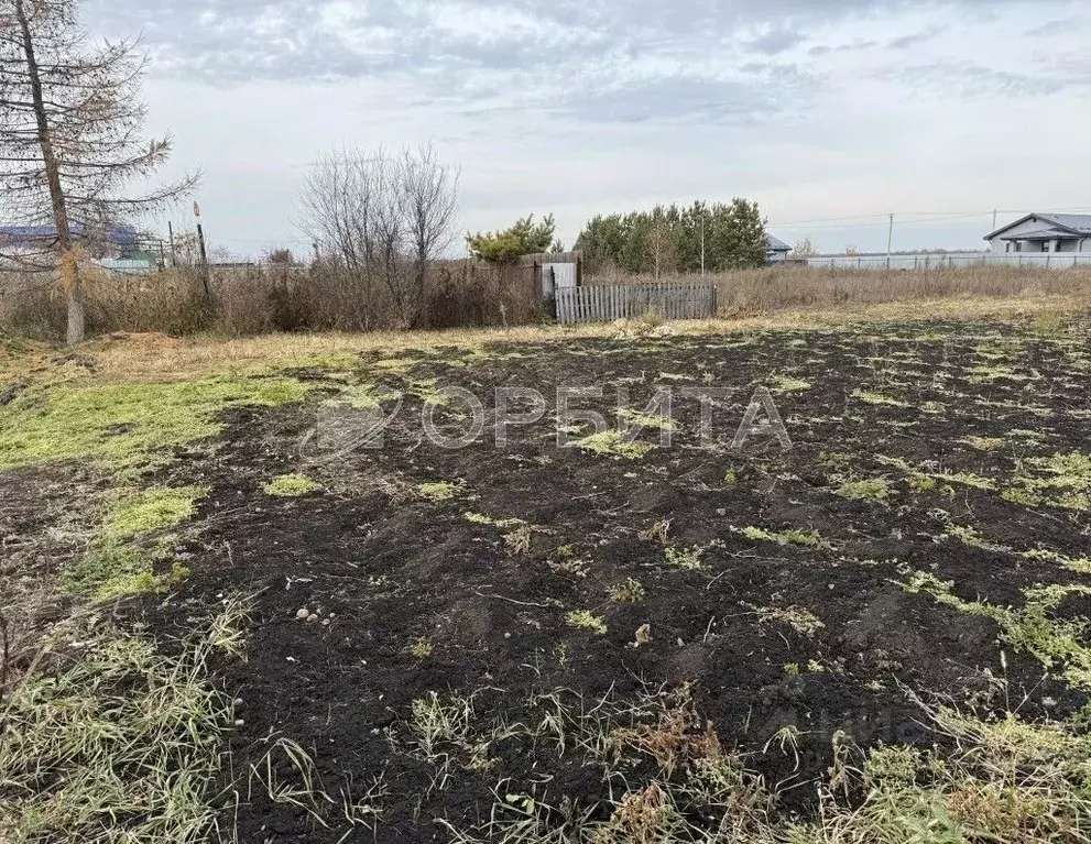 Участок в Тюменская область, Тюмень Утешево мкр, ул. Утешевская (8.24 ... - Фото 1
