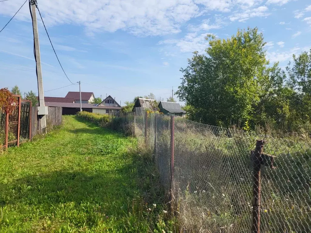 Участок в Новгородская область, Великий Новгород Одуванчик СТ,  (4.3 ... - Фото 2