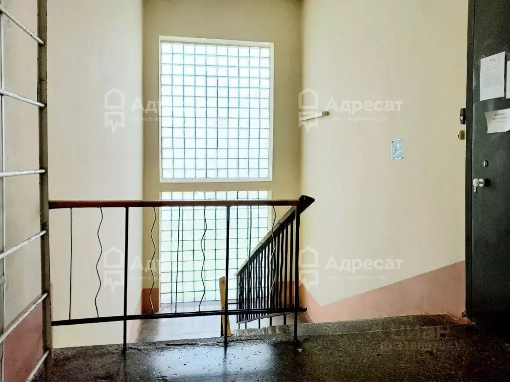 Помещение свободного назначения в Волгоградская область, Волгоград ул. ... - Фото 1