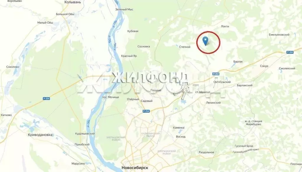 Участок в Новосибирская область, Мошковский район, Индия кп, ... - Фото 1