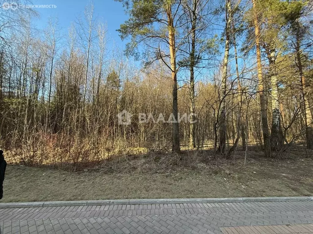 Участок в Видное, улица Святослава Рихтера, 7 (76 м) - Фото 0