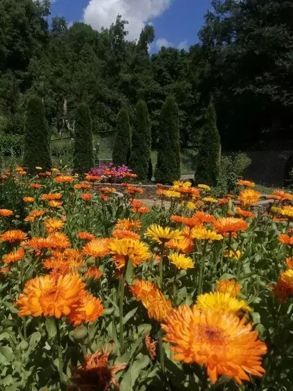 Комната Карачаево-Черкесия, Зеленчукский район, с. Архыз, пос. ... - Фото 1