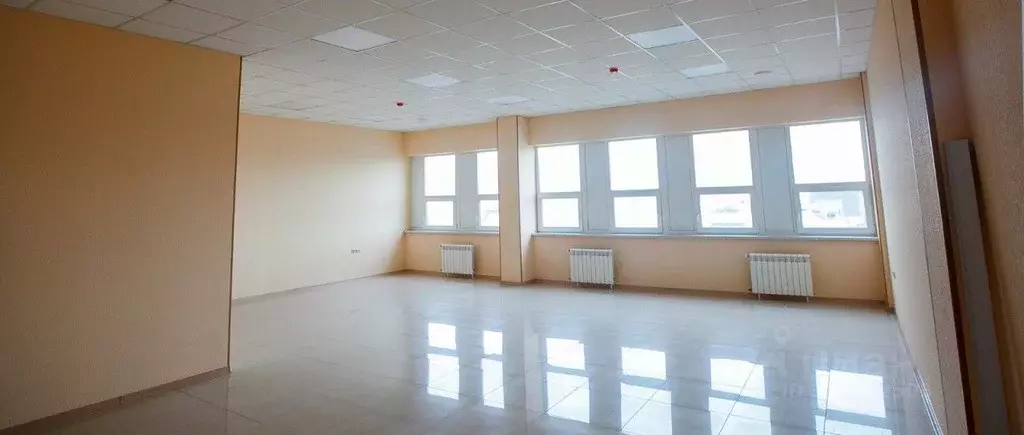 Офис в Санкт-Петербург пос. Шушары, ул. Поселковая, 12В (568 м) - Фото 0