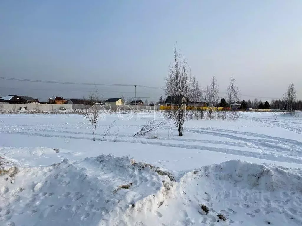 Участок в Тюменская область, Тюмень СОСН Геолог-1 тер., ул. 1-я Линия ... - Фото 1