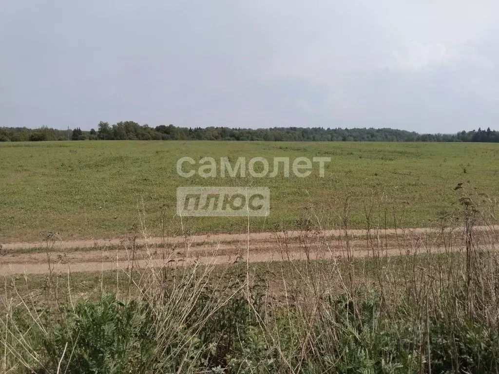Участок в Калужская область, Боровский район, Асеньевское с/пос, д. ... - Фото 2