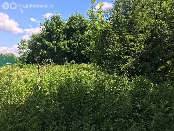 Участок в Московская область, городской округ Пушкинский, деревня ... - Фото 0