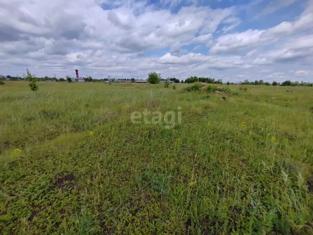 Участок в Тамбовская область, Мичуринск Рябиновая ул. (8.0 сот.) - Фото 1