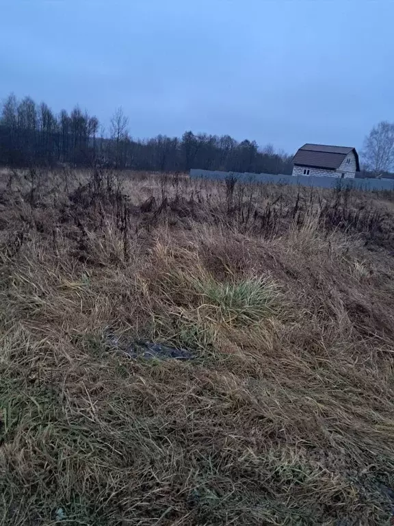 Участок в Московская область, Орехово-Зуевский городской округ, д. ... - Фото 1