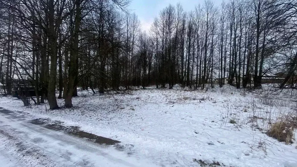 Участок в Московская область, Ступино городской округ, с. ... - Фото 0