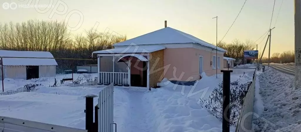 Дом в Тамбовская область, Моршанский муниципальный округ, деревня ... - Фото 2
