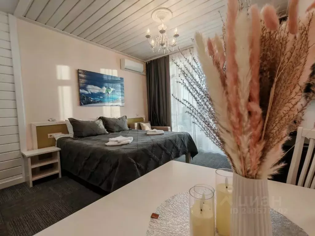 Студия Челябинская область, Миасский городской округ, с. Сыростан  ... - Фото 1